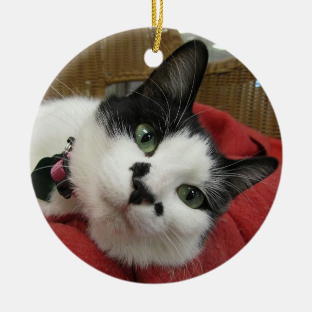 Black and White Cat Ceramic Ornament (Front)