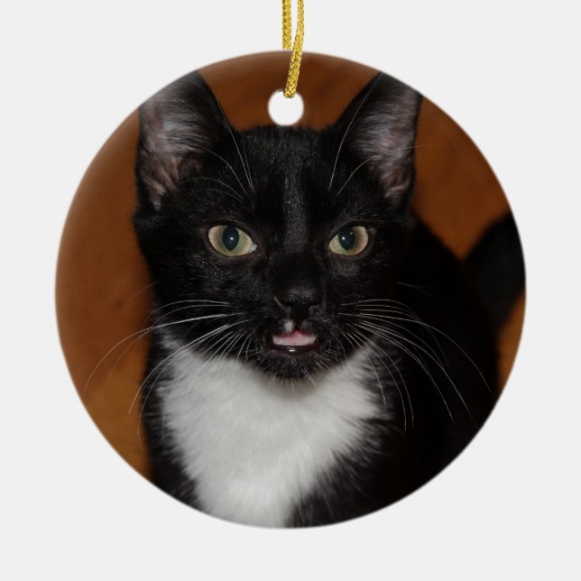 BLACK AND WHITE CAT CERAMIC ORNAMENT (Front)