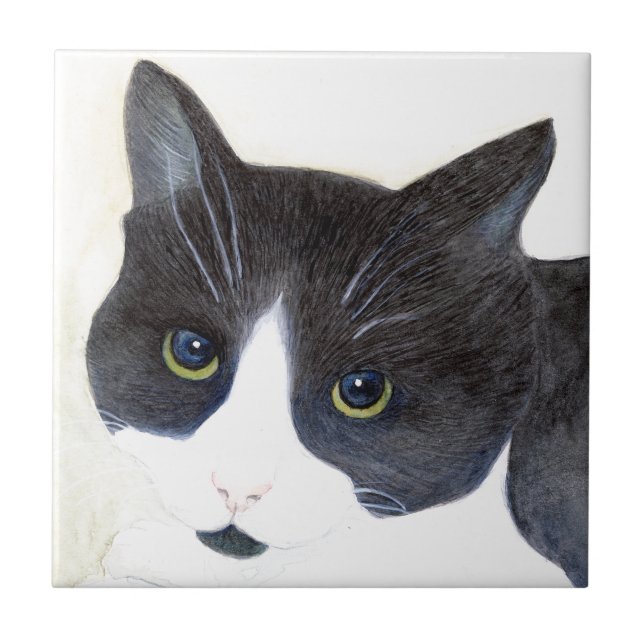 Black and White Cat Ceramic Tile (Front)