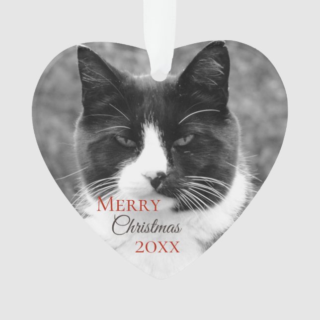 Black and White Cat Christmas Ornament (Front)