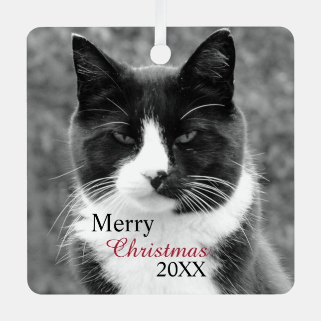 Black and White Cat Customisable Metal Tree Decoration (Front)