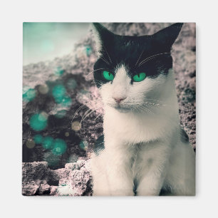 Black And White Cat Green Eyes Sitting By See Magnet