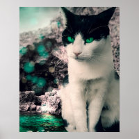 Black And White Cat Green Eyes Sitting By See