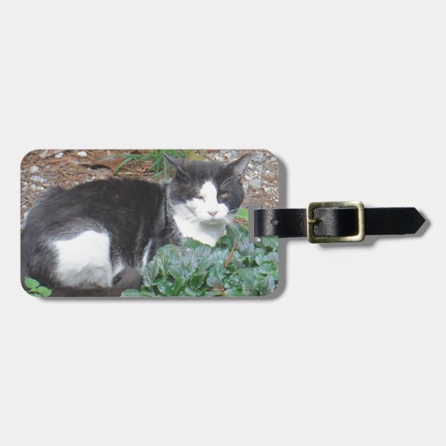 Black and white cat in greenery luggage tag (Front Horizontal)
