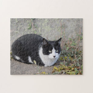 Black and White Cat Jigsaw Puzzle