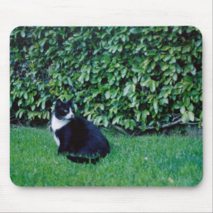 Black and White Cat Mouse Pad