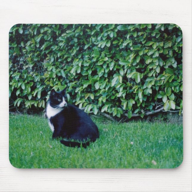 Black and White Cat Mouse Pad (Front)
