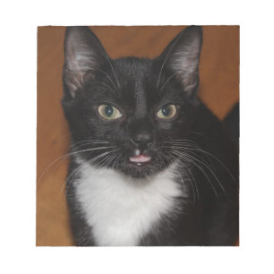BLACK AND WHITE CAT NOTEPAD