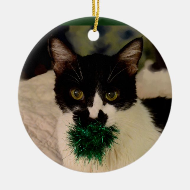 Black and White Cat Ornament (Front)