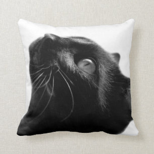 Black and white cat pet animal cute photo cushion