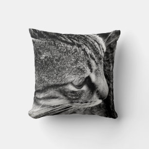 Black and White Cat Photography Pillow