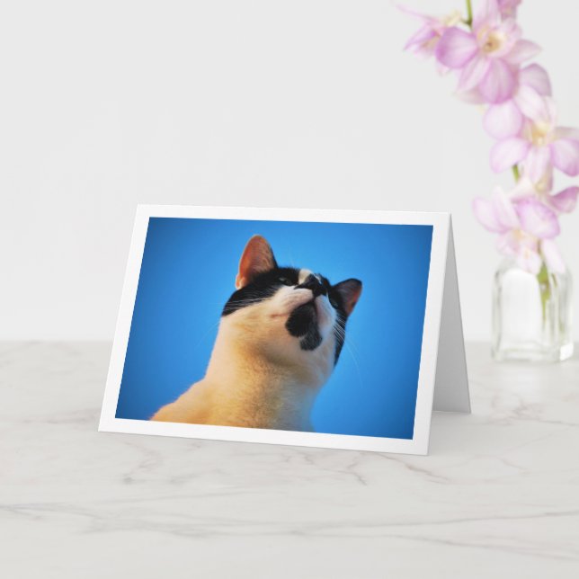 Black and White Cat Portrait Card (Orchid)