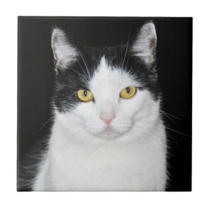 Black and White Cat Portrait Ceramic Tile