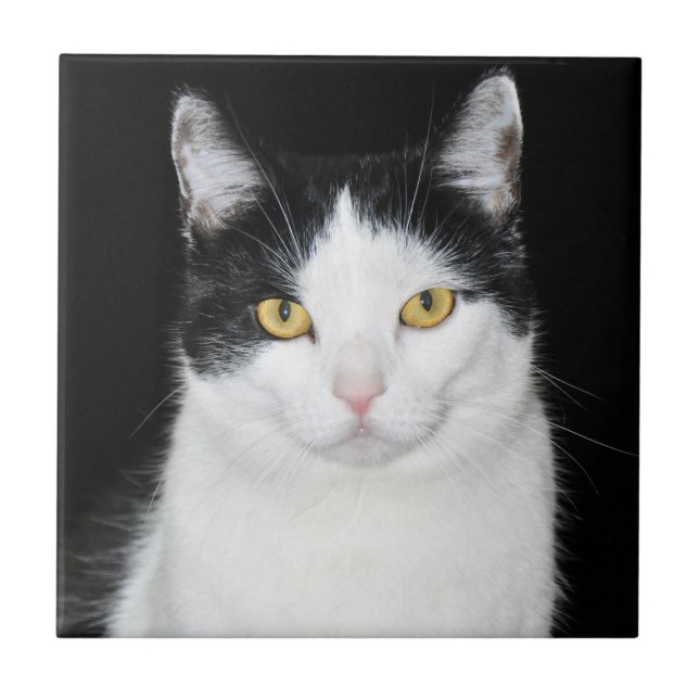 Black and White Cat Portrait Ceramic Tile (Front)