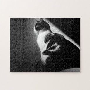 black and white cat jigsaw puzzle