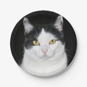 Black and White Cat Portrait Paper Plate