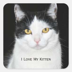 Black and White Cat Portrait Square Sticker