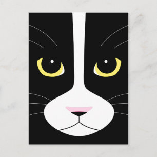 Black and White Cat Postcard