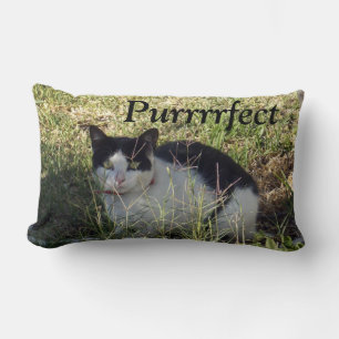 Black And White Cat Purrrrfect, Lumbar Cushion