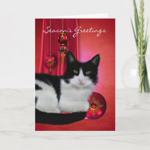 black and white cat season's greeting card with or