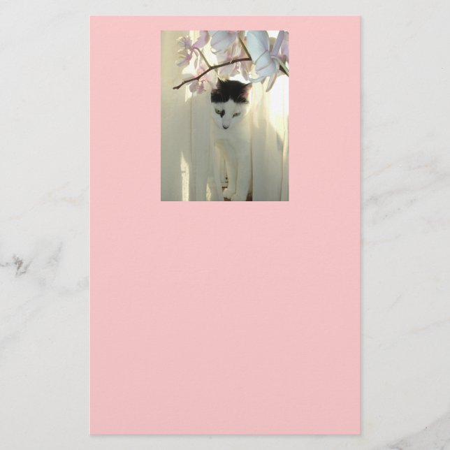 Black and White Cat Stationery (Front)