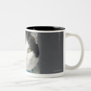 Black and white cat Two-Tone coffee mug