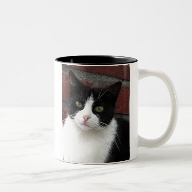 black and white cat Two-Tone coffee mug (Right)
