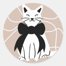 Black and white cat with abstract line