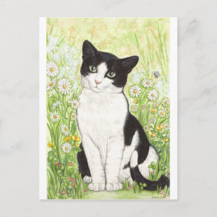 Black and White cat with daisies Postcard