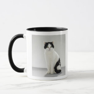 Black and white cat with glowing green eyes mug