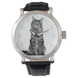 Black and white cat with green eyes watch