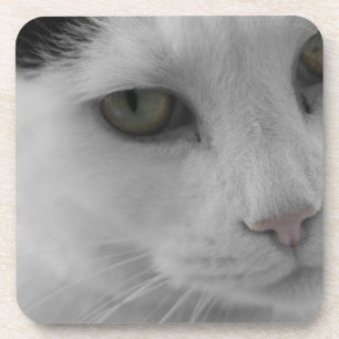Black and white cats face coaster