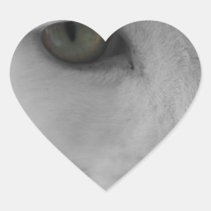 Black and white cats face heart sticker