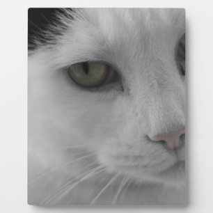 Black and white cats face plaque
