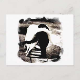Black and White Cats Friend to the End CUTE Postcard