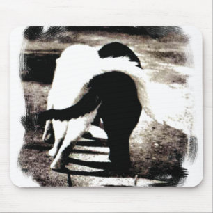 Black and White Cats Mouse Pad