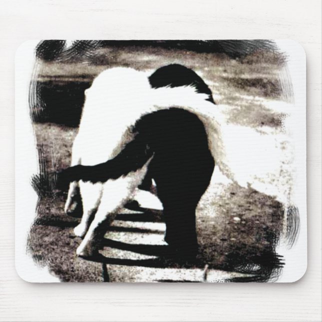 Black and White Cats Mouse Pad (Front)