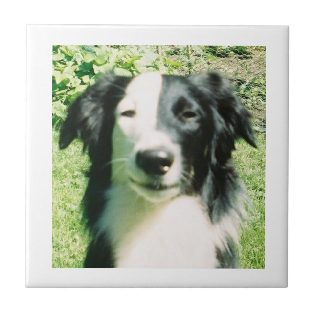 Black And White Ceramic Tile (Front)