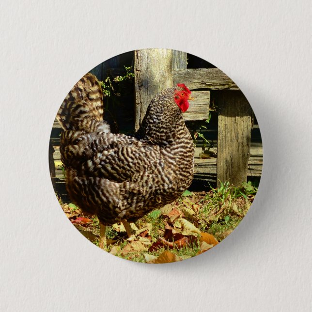 Black and white Chicken 6 Cm Round Badge (Front)