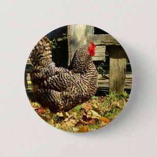 Black and white Chicken 6 Cm Round Badge