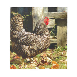 Black and white Chicken Notepad