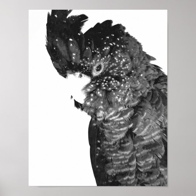Black and White Cockatoo Portrait Poster (Front)