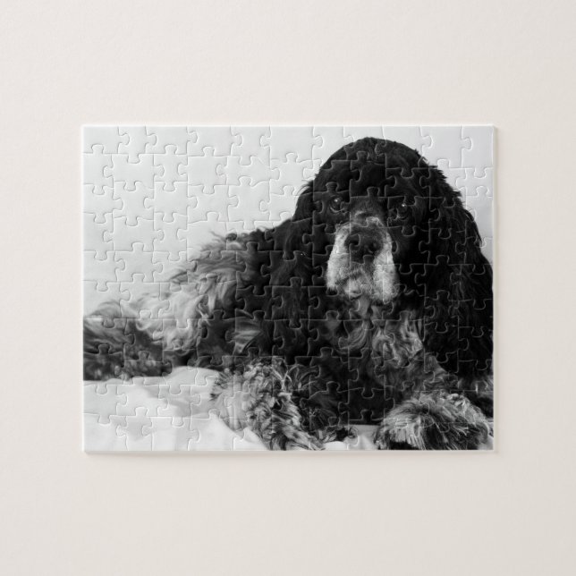 Black and White Cocker Spaniel Photo Jigsaw Puzzle (Horizontal)