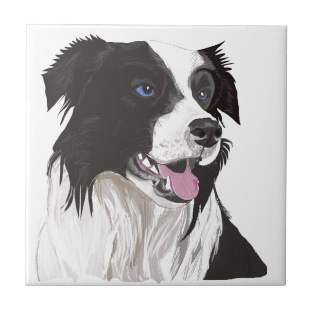 black and white collie blue eyes ceramic tile (Front)