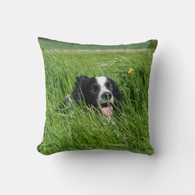 Black and White Collie in Grass Cushion (Front)