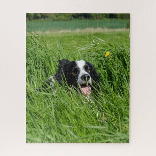 Black and White Collie in Grass Jigsaw Puzzle (Vertical)