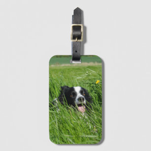 Black and White Collie in Grass Luggage Tag
