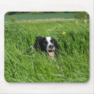 Black and White Collie in Grass Mouse Pad