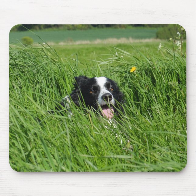 Black and White Collie in Grass Mouse Pad (Front)