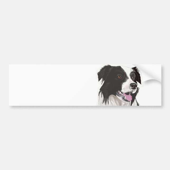 Black and White Collie with Brown eyes Bumper Stic Bumper Sticker (Front)